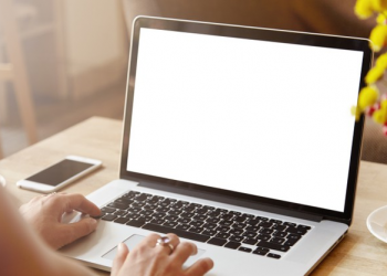 mãos femininas digitando em um notebook
