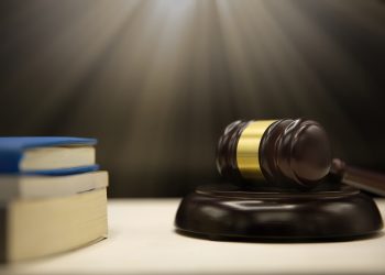 Tudo o Que Você Precisa Saber Sobre Licitações: Um Guia Prático